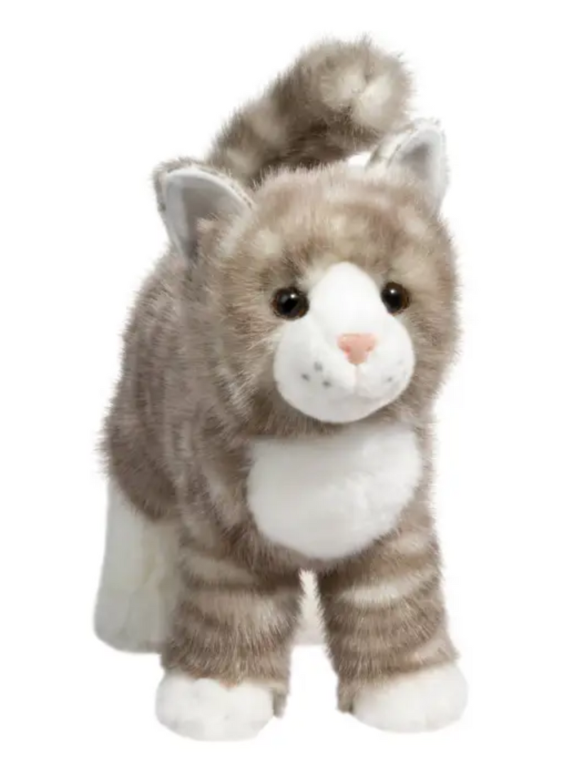 Zipper Gray Tabby Cat