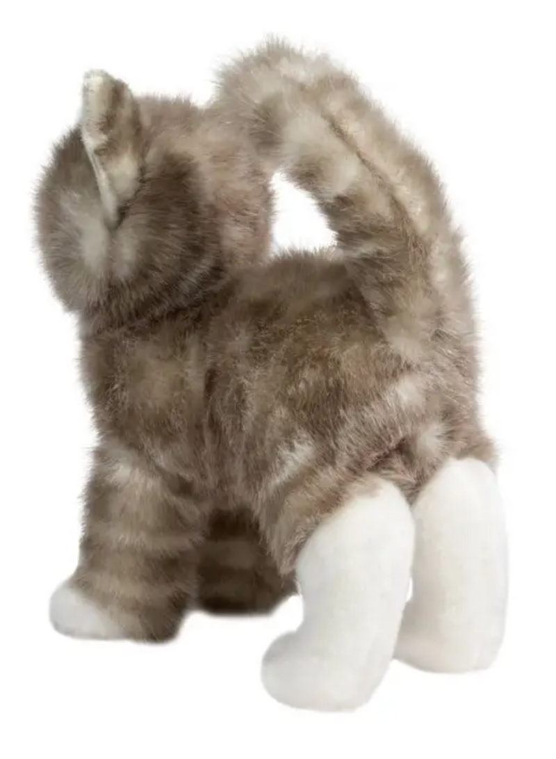 Zipper Gray Tabby Cat
