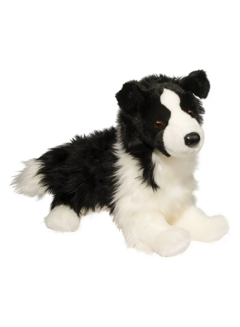 Chase Border Collie