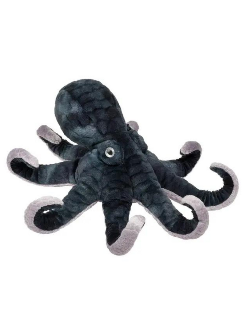 Winky Octopus