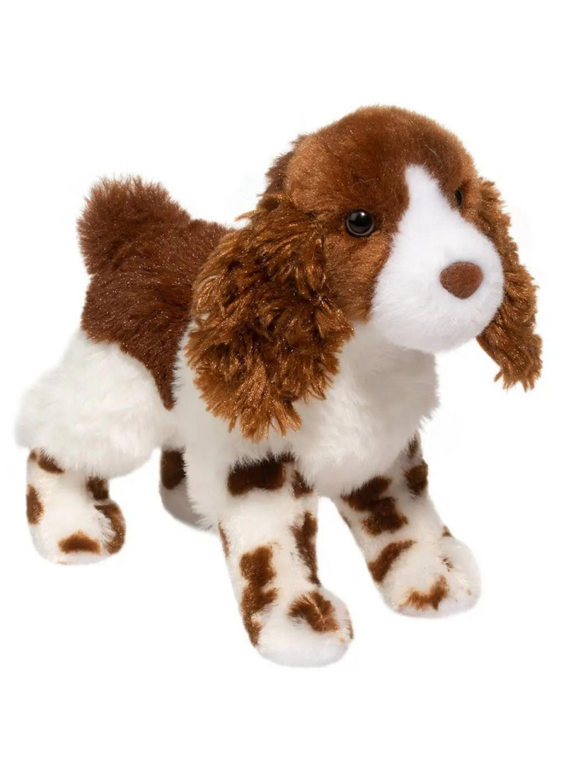Flair Springer Spaniel