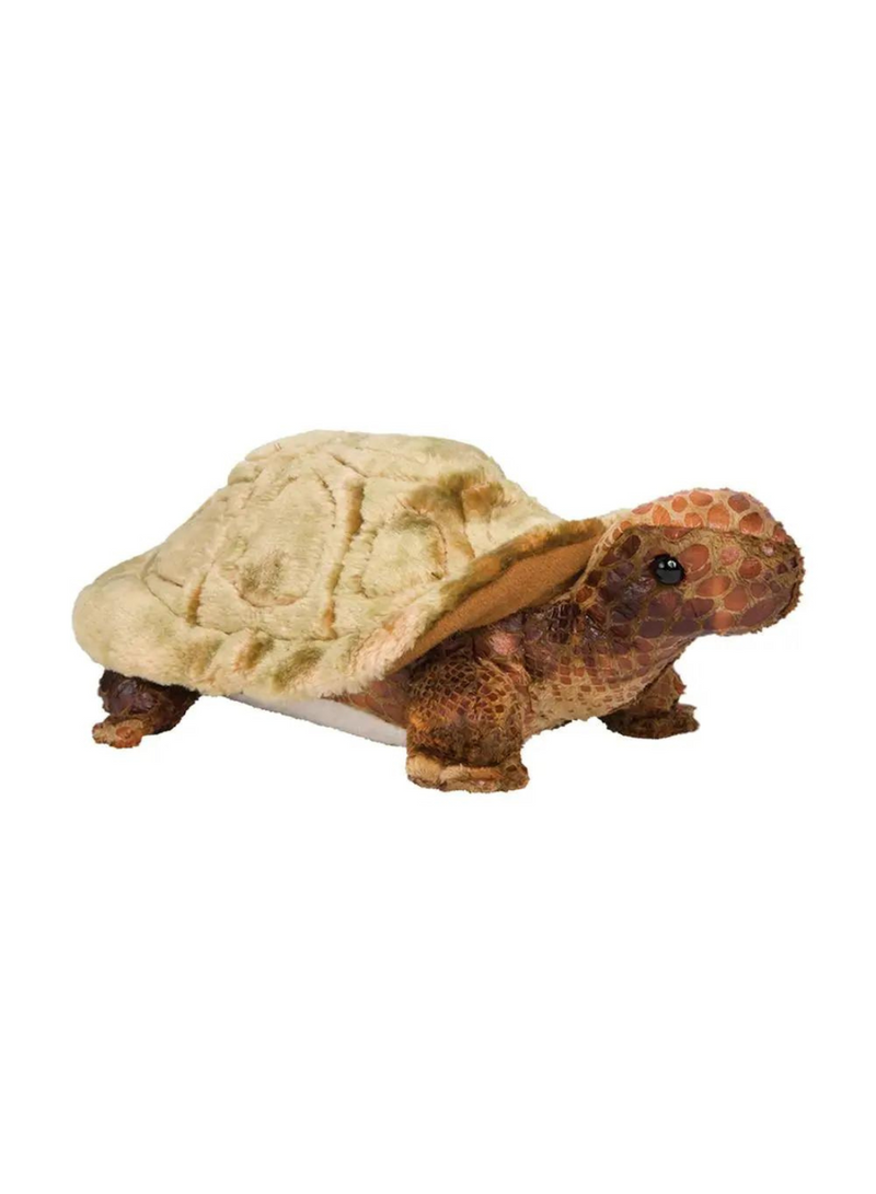Speedy Tortoise