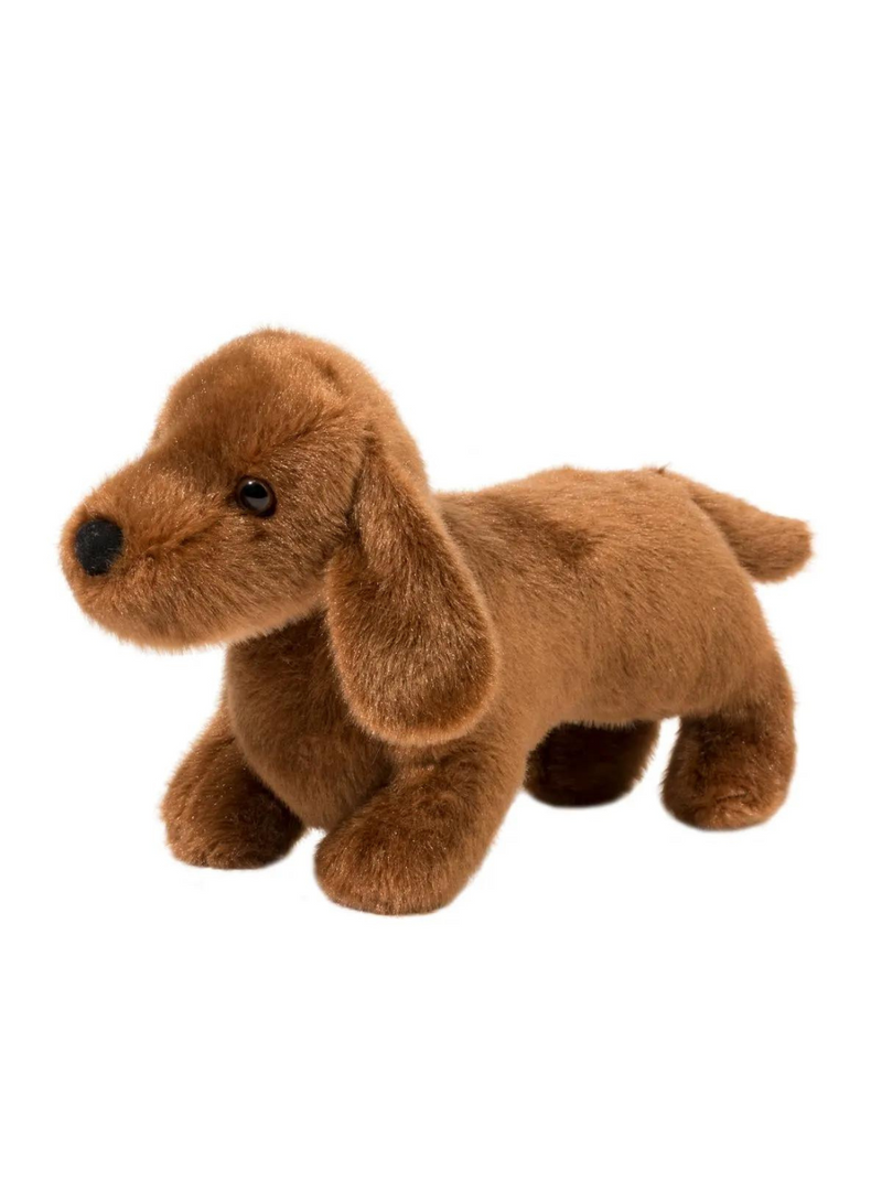 Dilly Dachshund