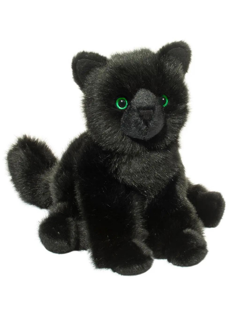 Salem Black Cat