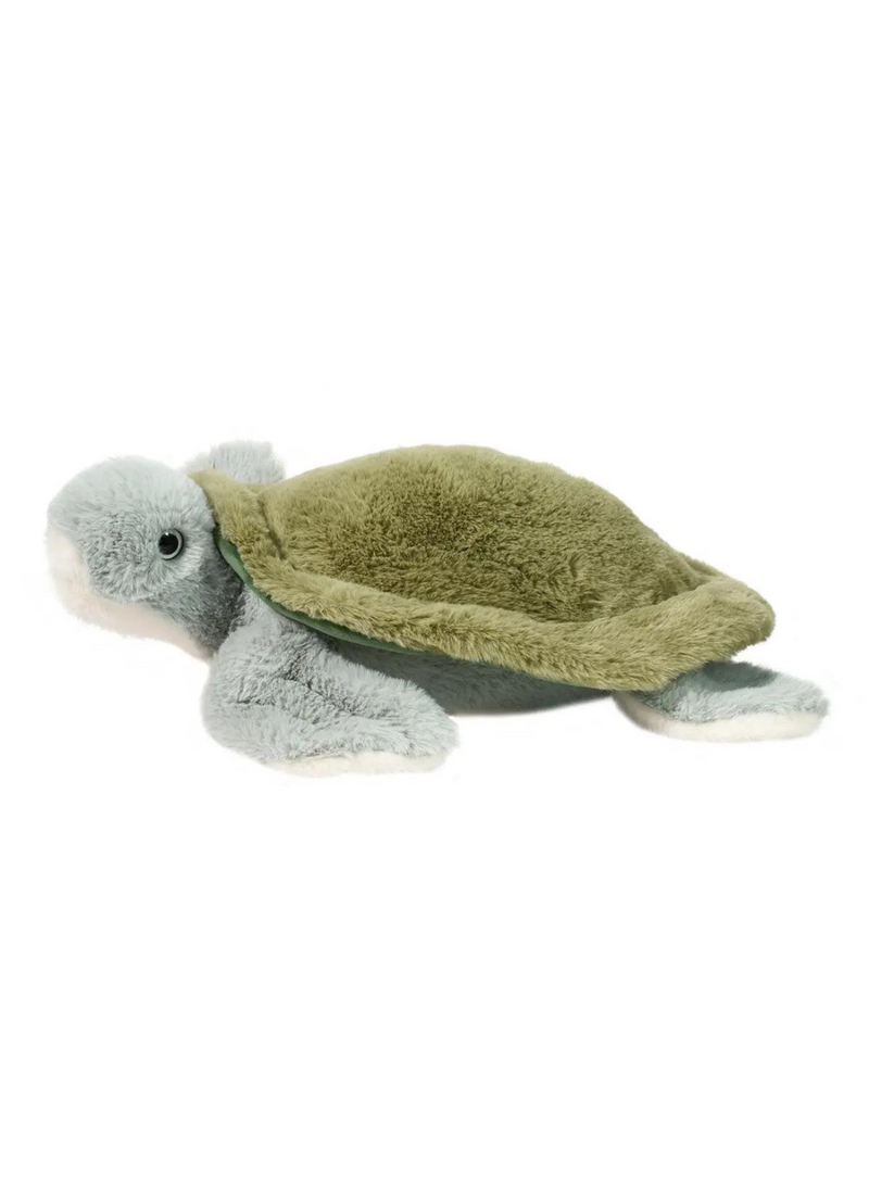 Sheldon Sea Turtle