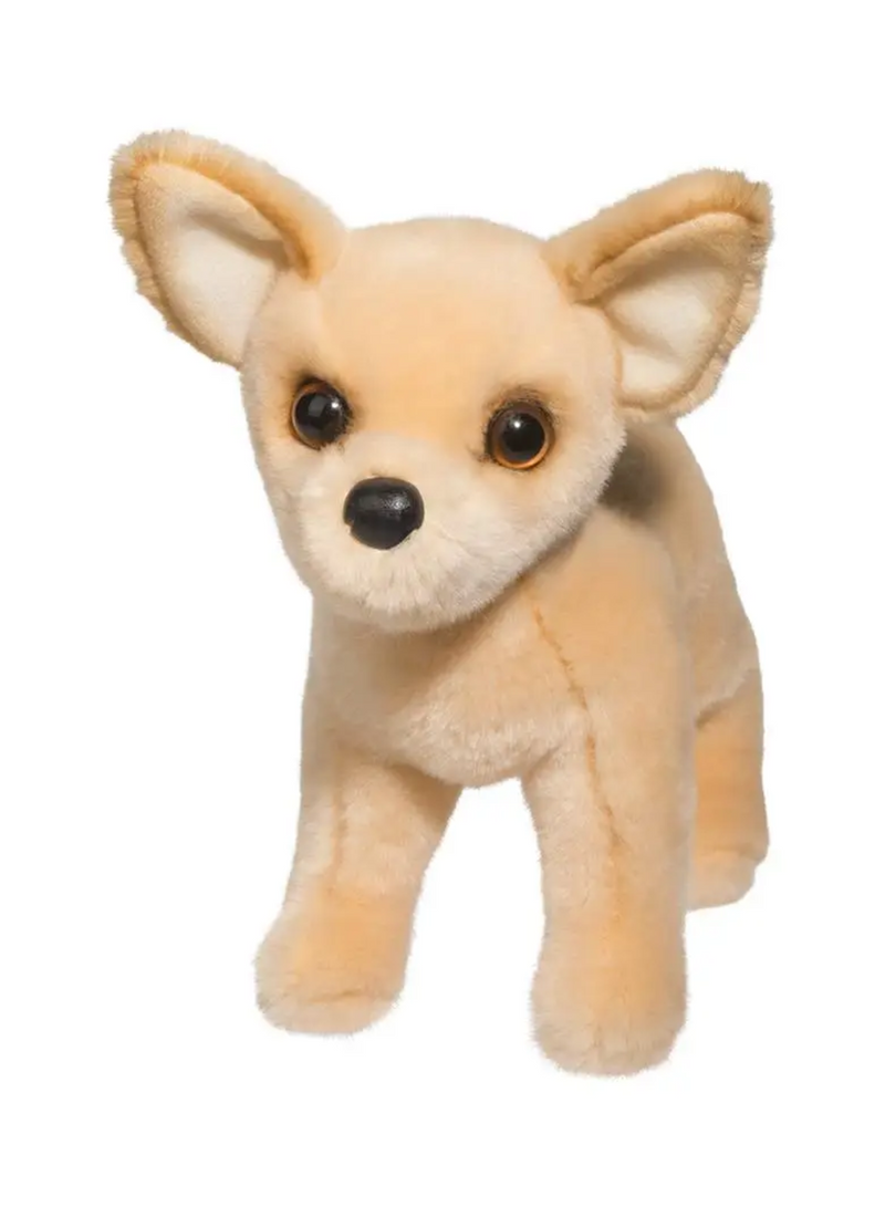 Carlos Chihuahua