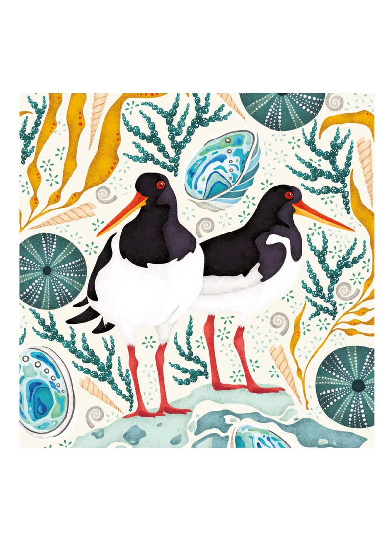 Oystercatchers Card
