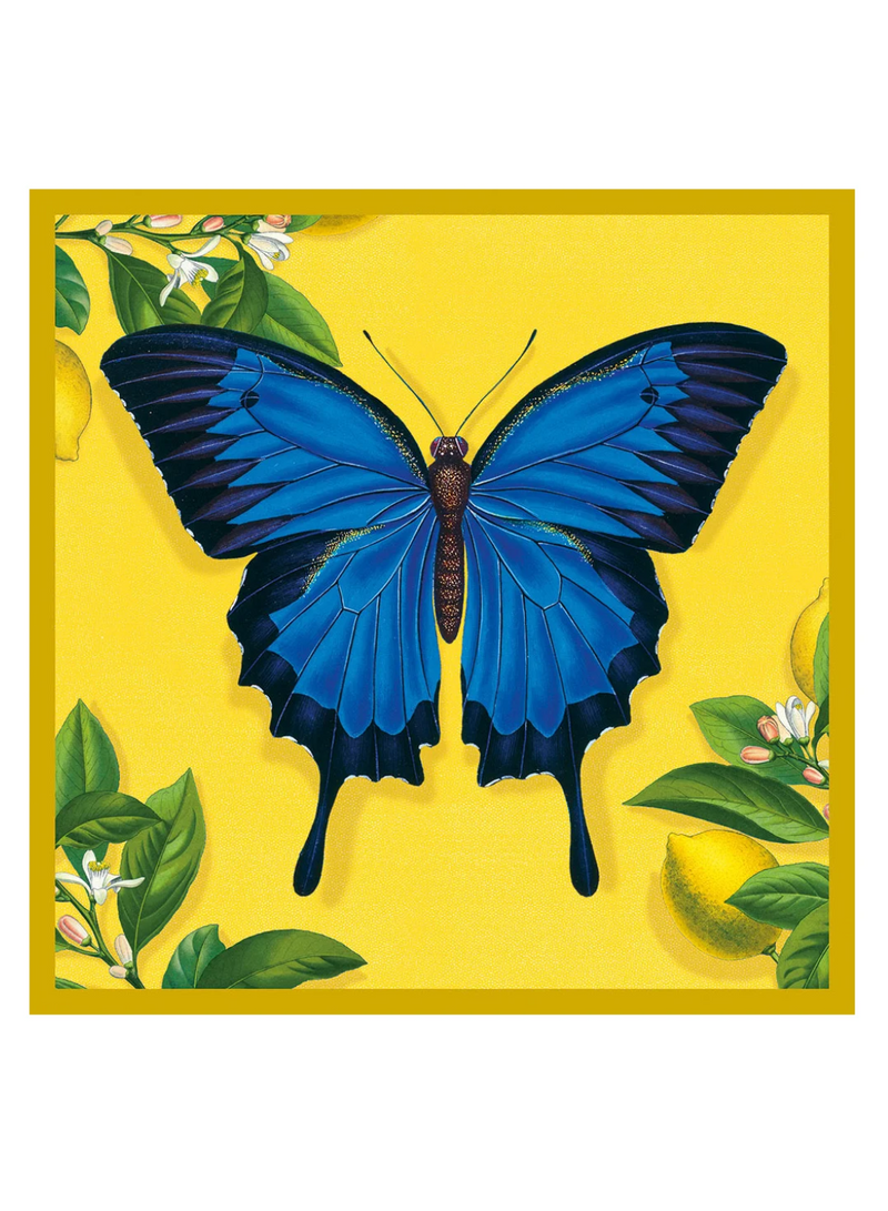 Ulysses Butterfly Card