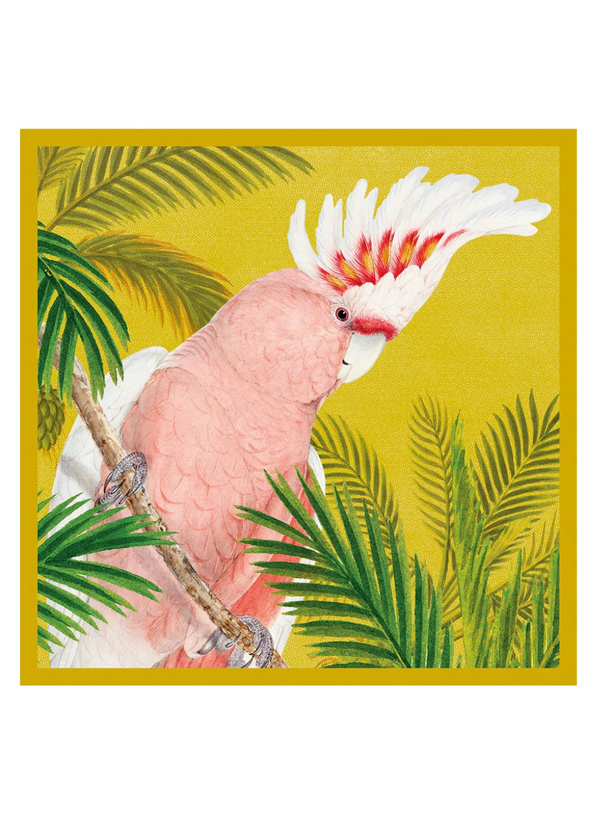 Pink Cackatoo Card