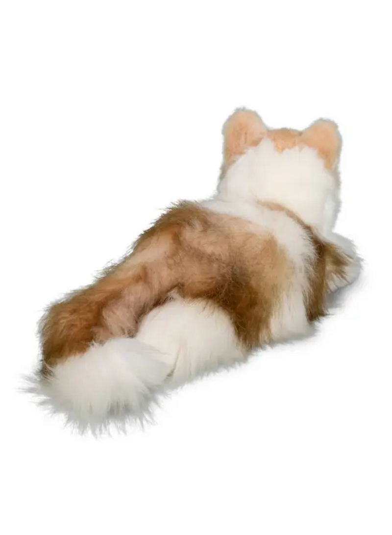 Kiki Ragdoll Cat