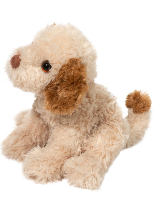 Biscuit Cavapoo