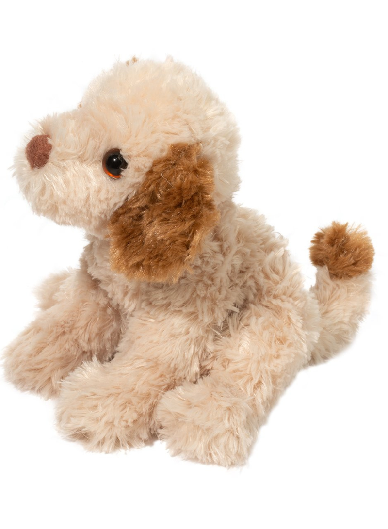Biscuit Cavapoo