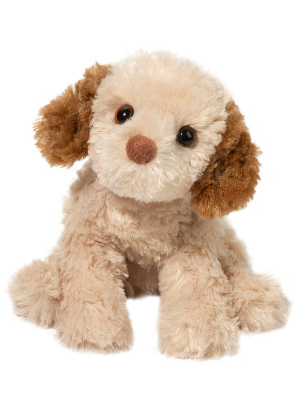 Biscuit Cavapoo