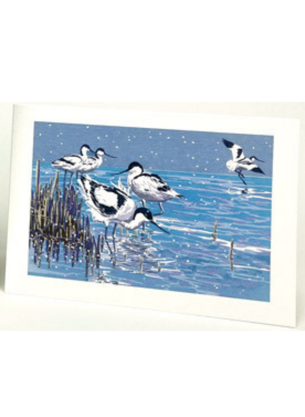 Puffins & Avocets Card Pack