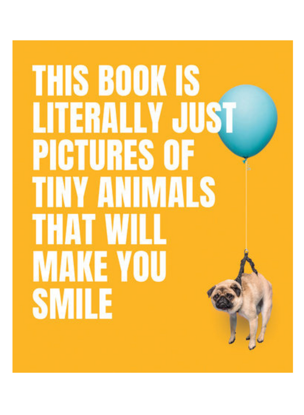 Pictures of Tiny Animals Book