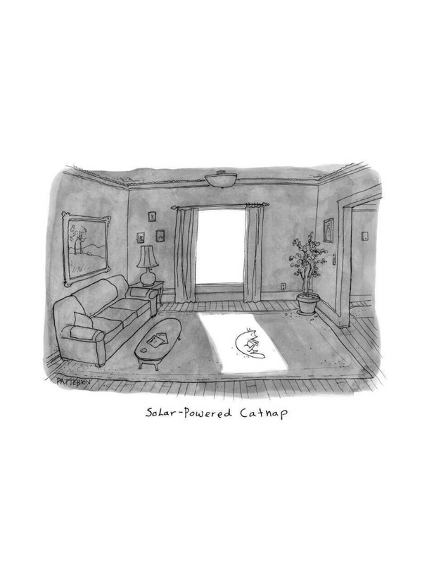 Solar Powered Cat Nap