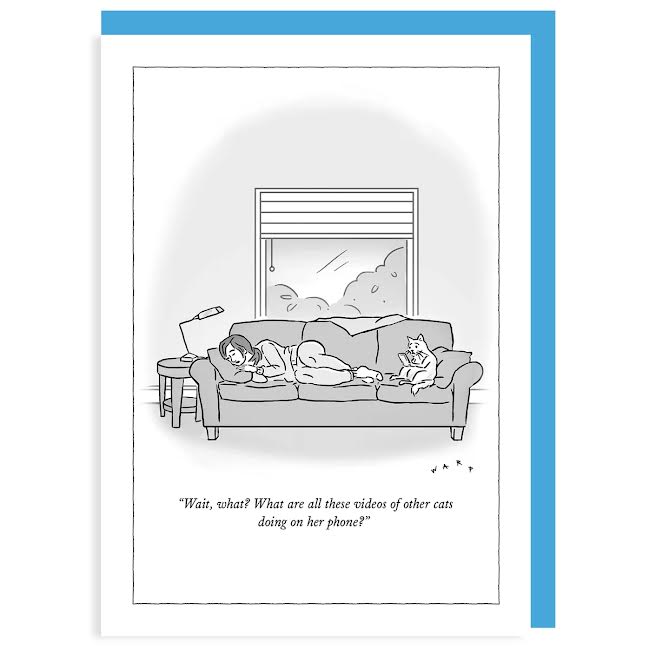 Cat Videos Card