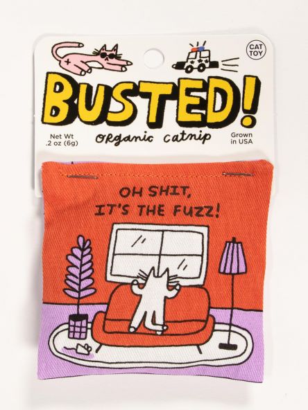 Catnip Cat Toy