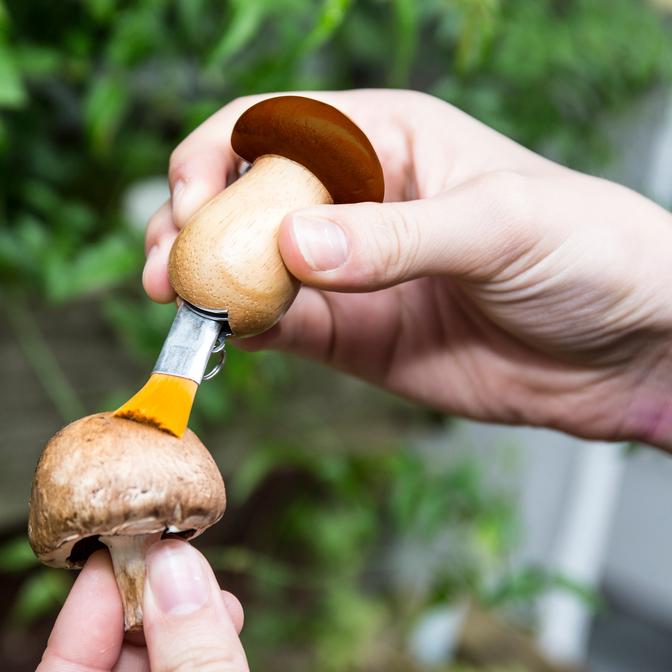 Mushroom Tool Keychain