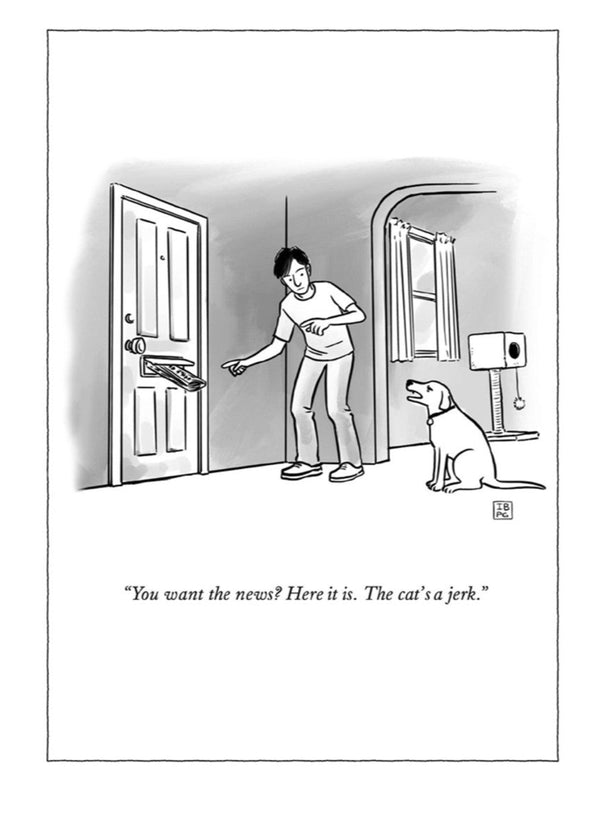 Cat's a Jerk Card