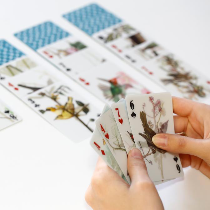 3D Bird Playing Cards