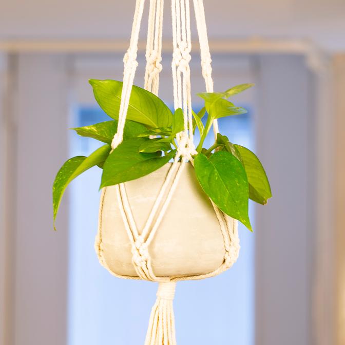 Macrame & Cement Planter