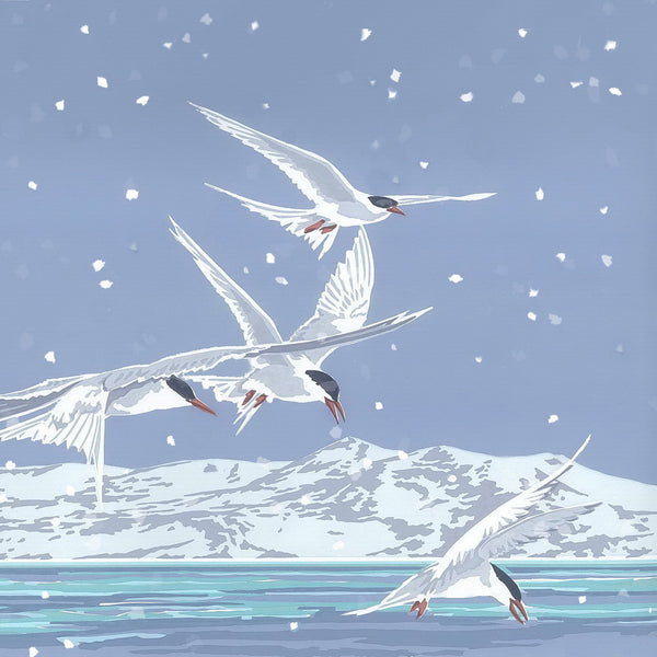 Snowy Terns  Card