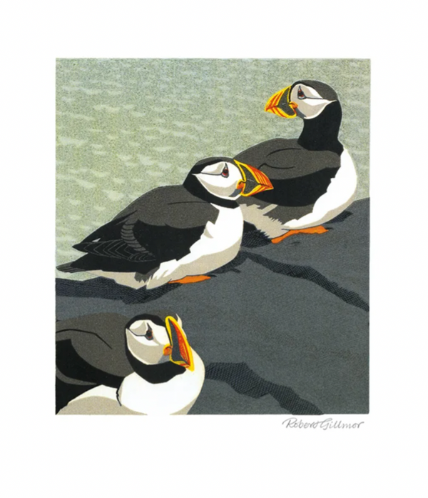 Puffins Card