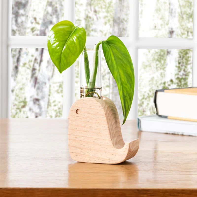 Bird Propagation Vase