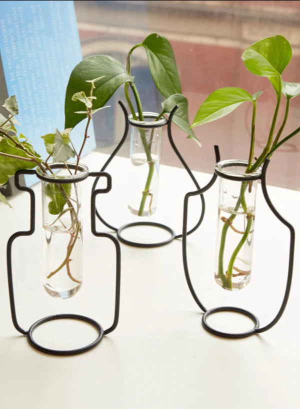 Geometric Vase Propagation Station