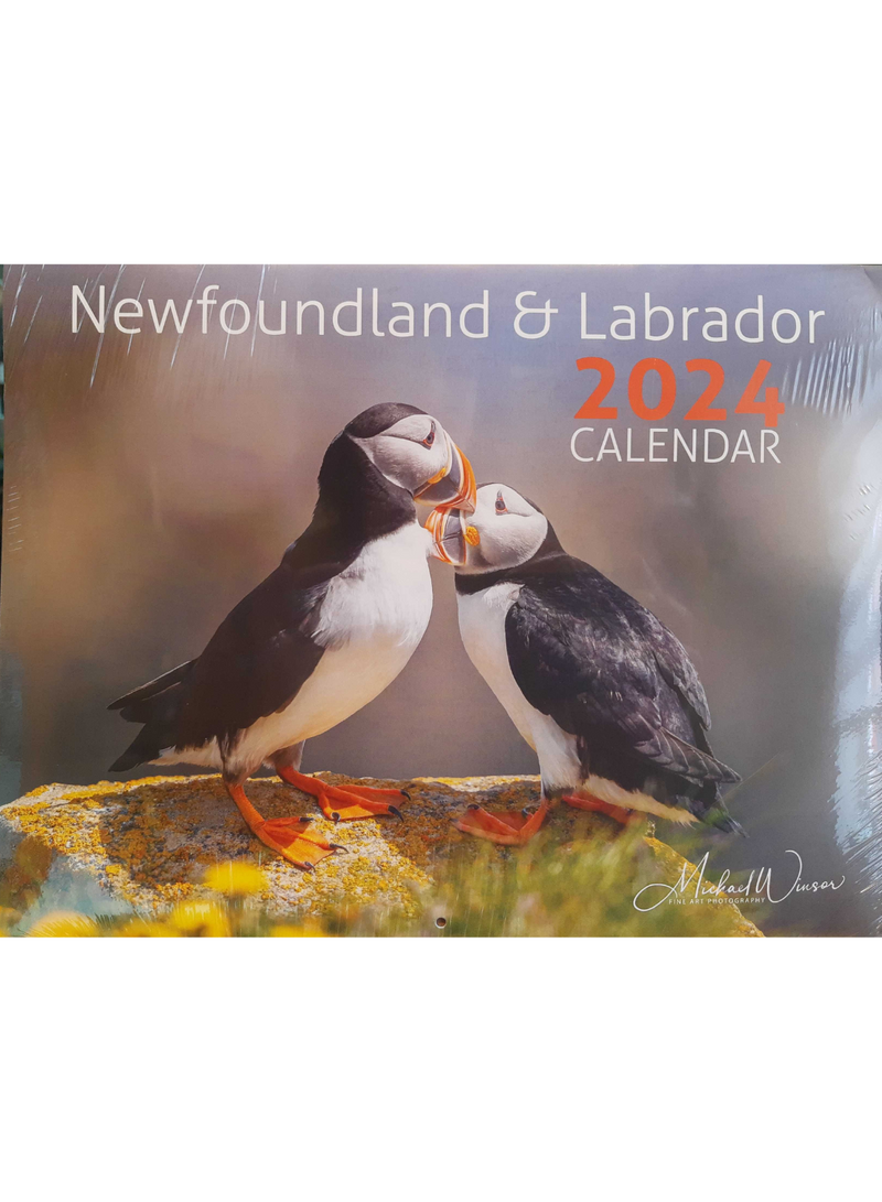 Michael Winsor 2024 NL Calendar