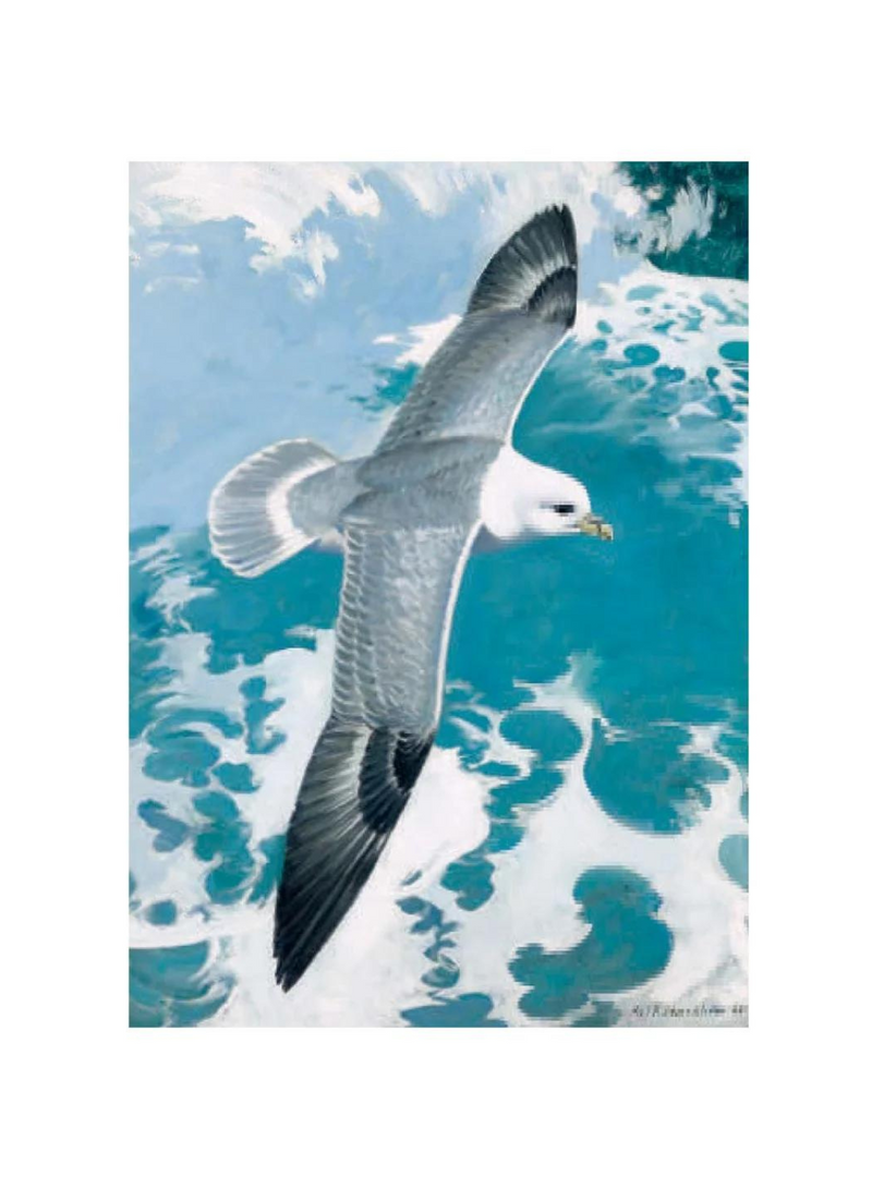 Seagull Card