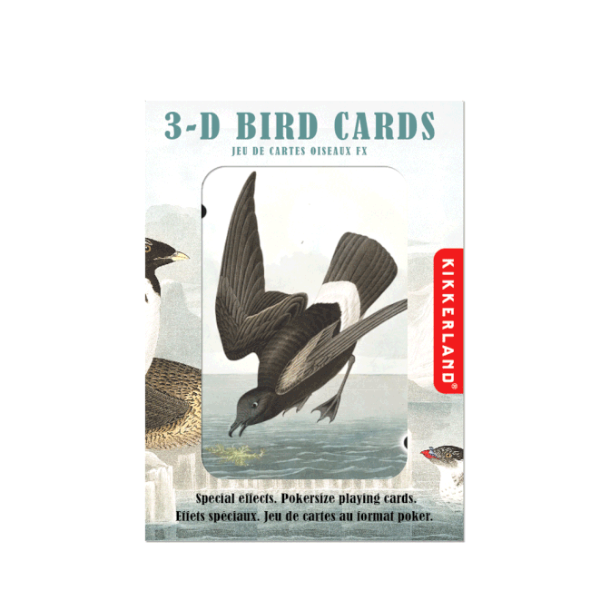 3D Bird Playing Cards