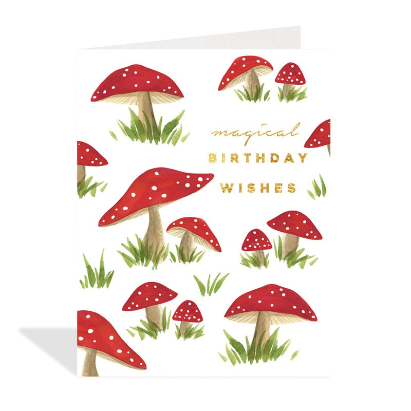 Magical Birthday Wishes Greeting Card