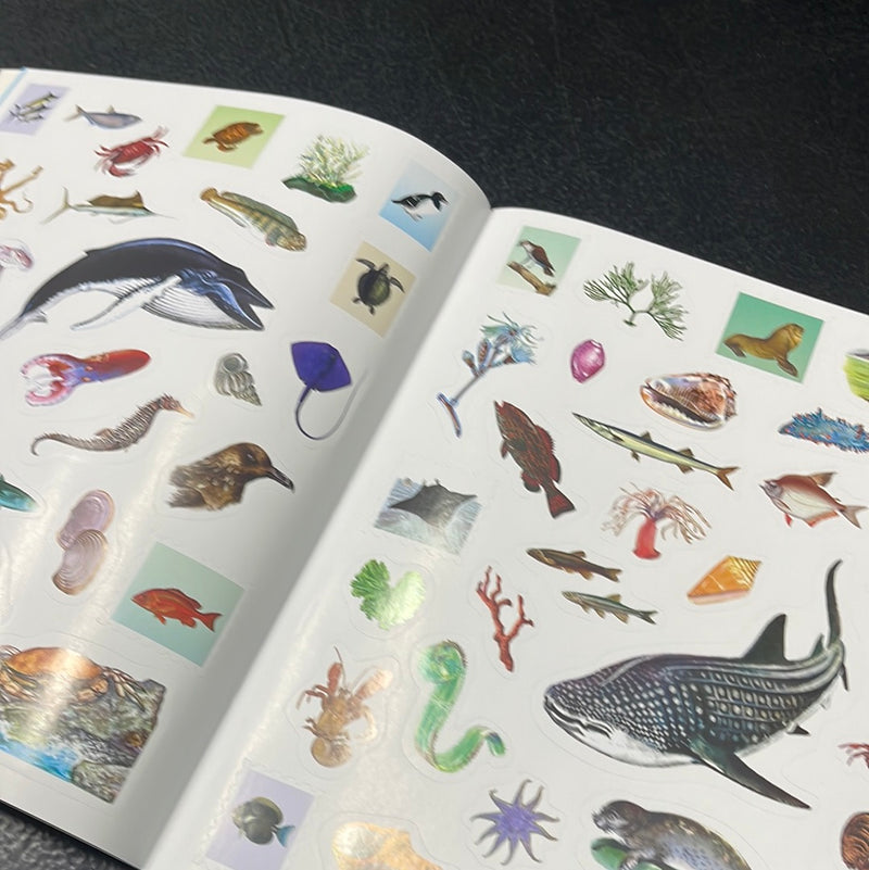 Oceans-Outdoor School: Spot & Sticker