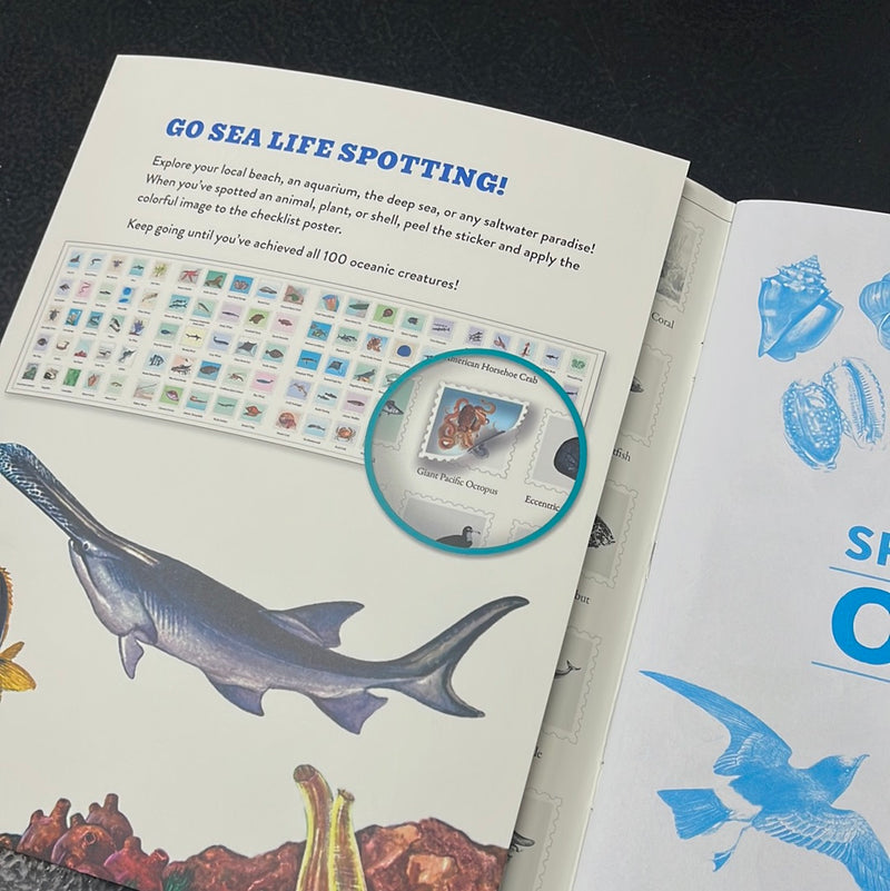 Oceans-Outdoor School: Spot & Sticker