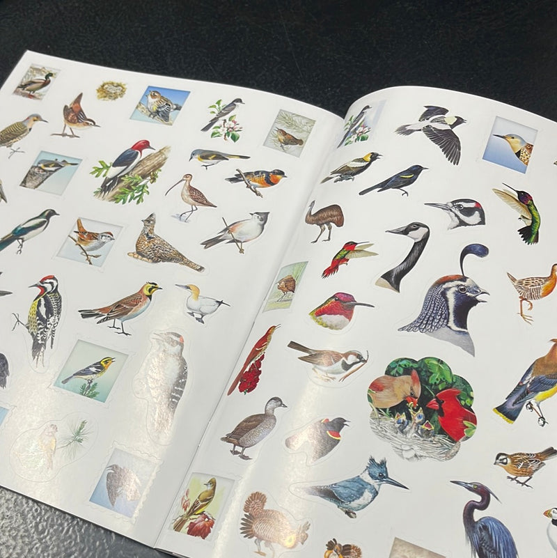 Birds-Outdoor School: Spot & Sticker