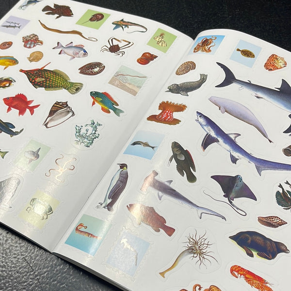 Oceans-Outdoor School: Spot & Sticker