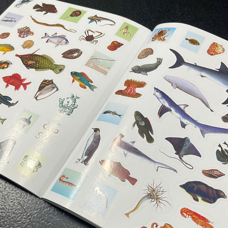 Oceans-Outdoor School: Spot & Sticker