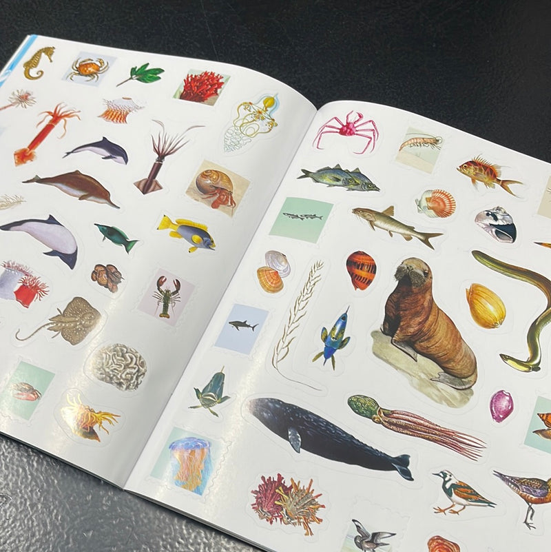 Oceans-Outdoor School: Spot & Sticker