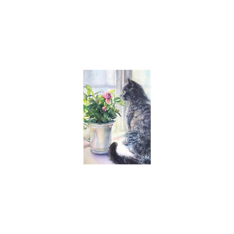 Looking Out Card