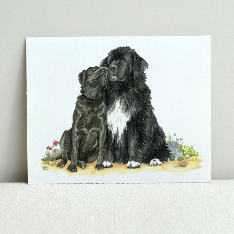Newfoundland And Labrador Dogs Print by Amy Adams