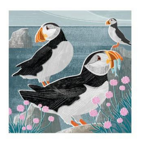 Puffins And Sea Thrift Card