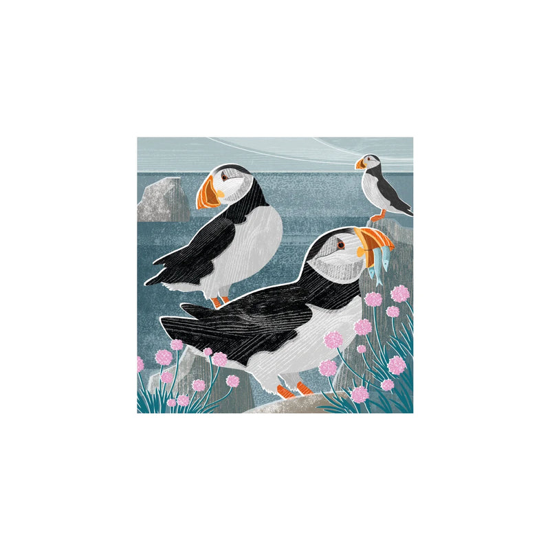 Puffins And Sea Thrift Card