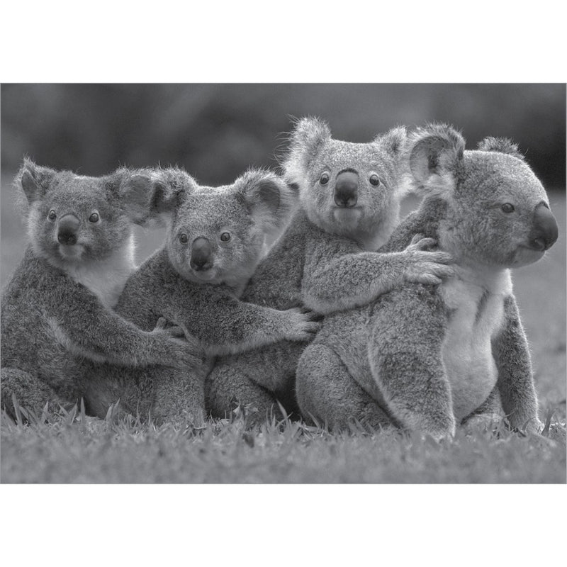 Koala Family Greeting Card