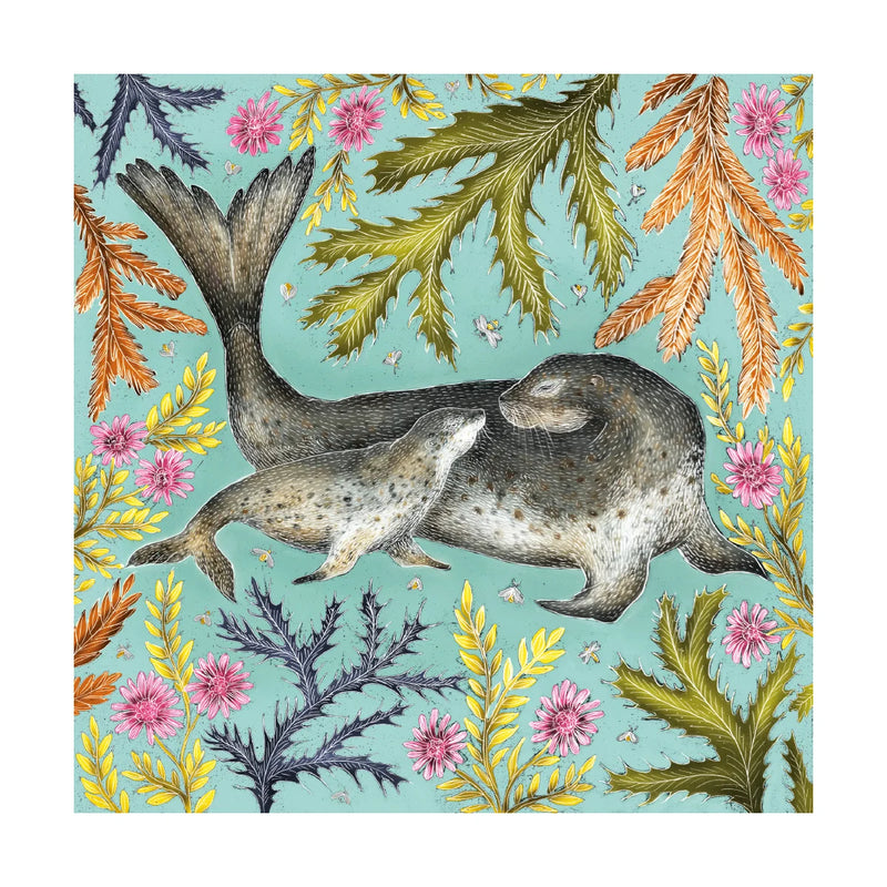 Seals Card