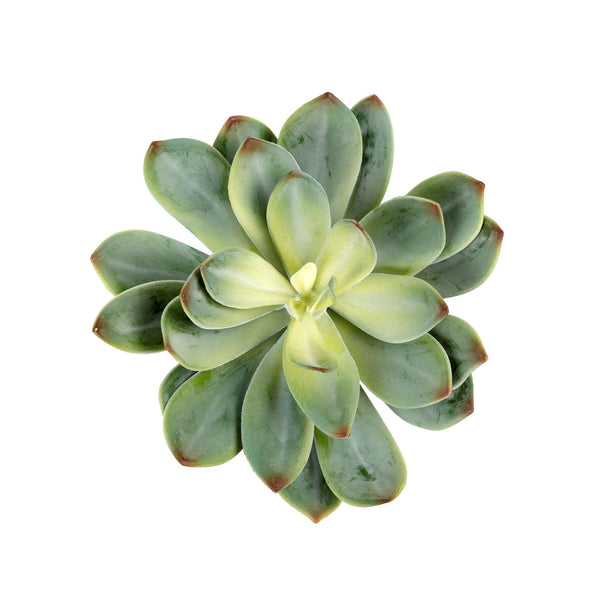 Succulent Pick