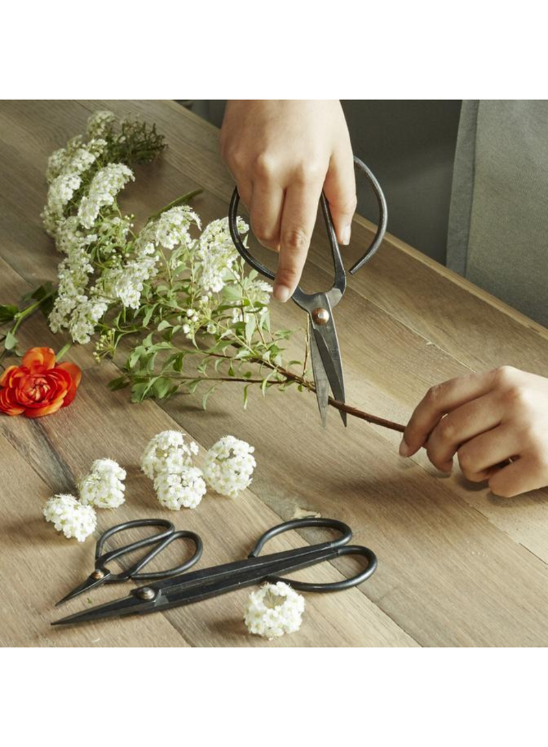 Scissor Set For Garden