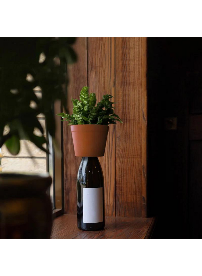 Bottle Planter